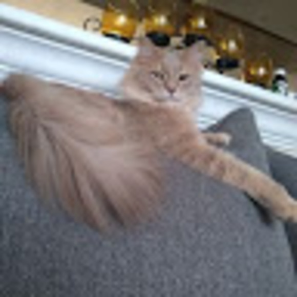 Meet your Posher, Jamie - Picture 1 of 1